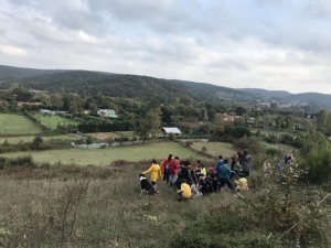 Serbest Gezen Bir Okul - BEM İlkokulu - Sivrisinekler ve Dev Mantarlar