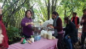 Fermante İçecekler serisi devam.. Boza, Kombucha Çayı