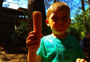 2-3 Haziran 2018 - KampaGidelimmiBABA Ekolojik Çocuk Kampı Güncesi