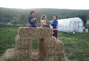 Sera imalatında son keşifler